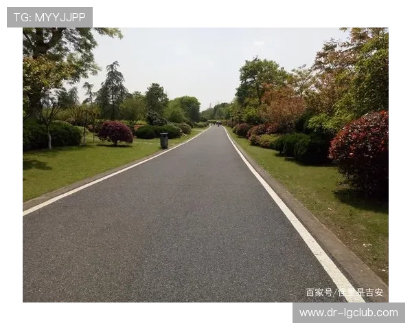 全面解析吉安足球场草皮价格与多维度采购成本影响因素深度指南集